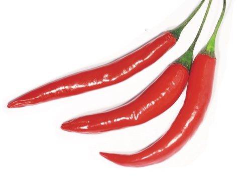 Red Chillies