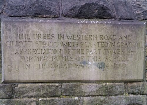 The trees in Western Road and Gilliott Street were planted in grateful appreciation of the part taken by former pupils in this school in the Great Way, 1914-1919.