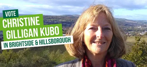 Vote Christine Gilligan Kubo in Brightside & Hillsborough
