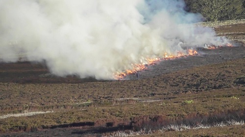 Heather burning on moorland