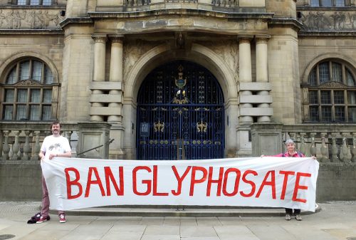 Green Party activist outside the Town Hall holding a Ban Glyphosate banner