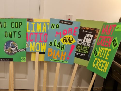 Placards saying "no more blah blah blah" and "want green, vote green"
