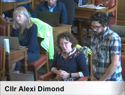 Cllr Alexi Dimond speaking in Council