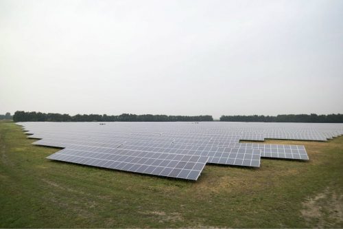 A field covered with solar panels angled to catch the sun
