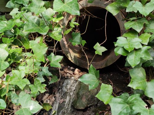 Sewage outflow pipe on the Porter Brook